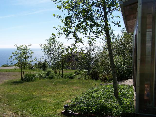 View from greenhouse towards the house.