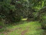 Hiking or riding trail along the old Hwy 101