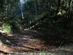 Stream bed along the old Hwy 101