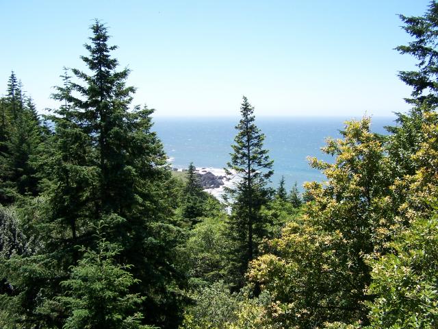Ocean views as you walk or ride trails on the property.