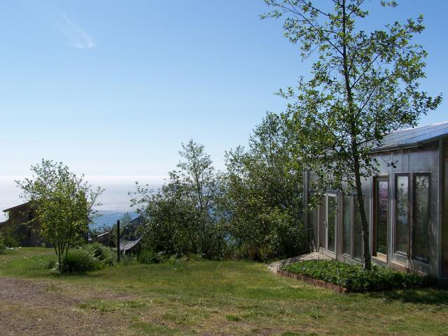 Greenhouse and strawberry patch